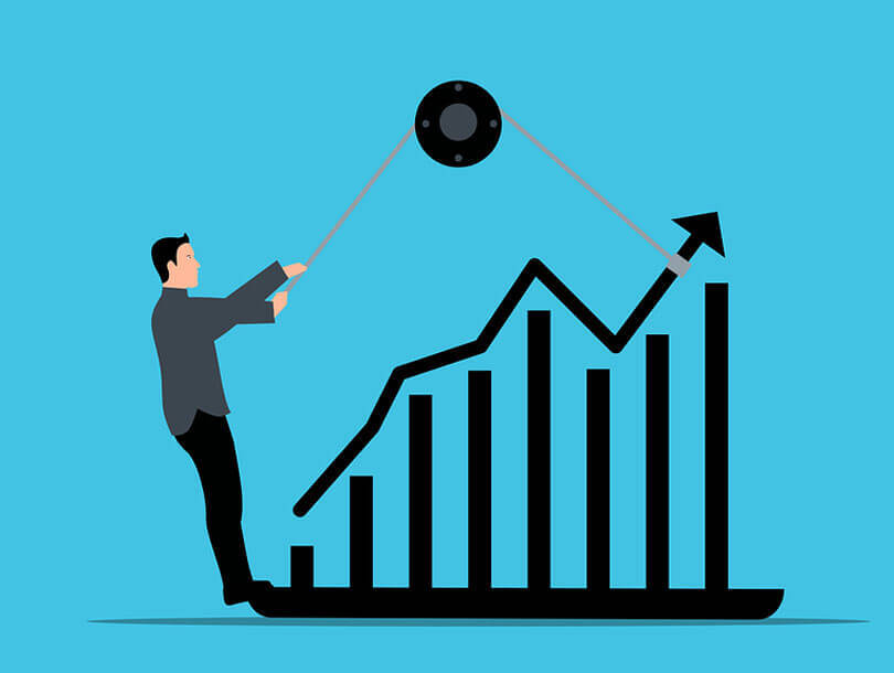 şirket türünü seçmek